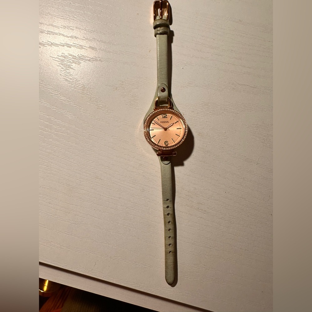 Fossil Watch